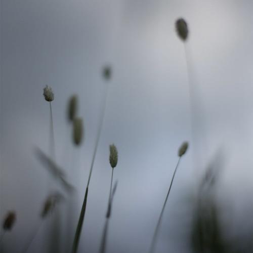 Peter Broderick, A Snowflake, Piano Solo