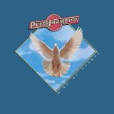 Download Peter Frampton Fig Tree Bay sheet music and printable PDF music notes