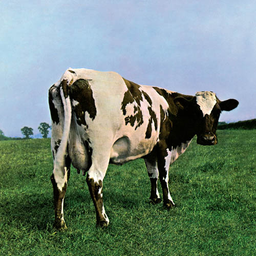Pink Floyd Pink Floyd, Fat Old Sun, Piano, Vocal & Guitar Chords (Right-Hand Melody)