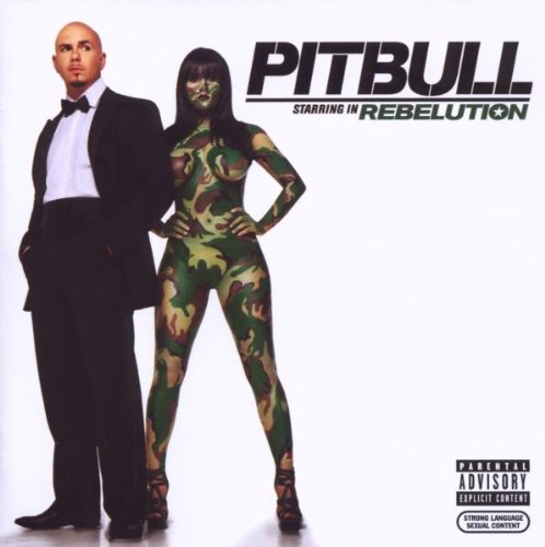 Pitbull, I Know You Want Me (Calle Ocho), Piano, Vocal & Guitar (Right-Hand Melody)