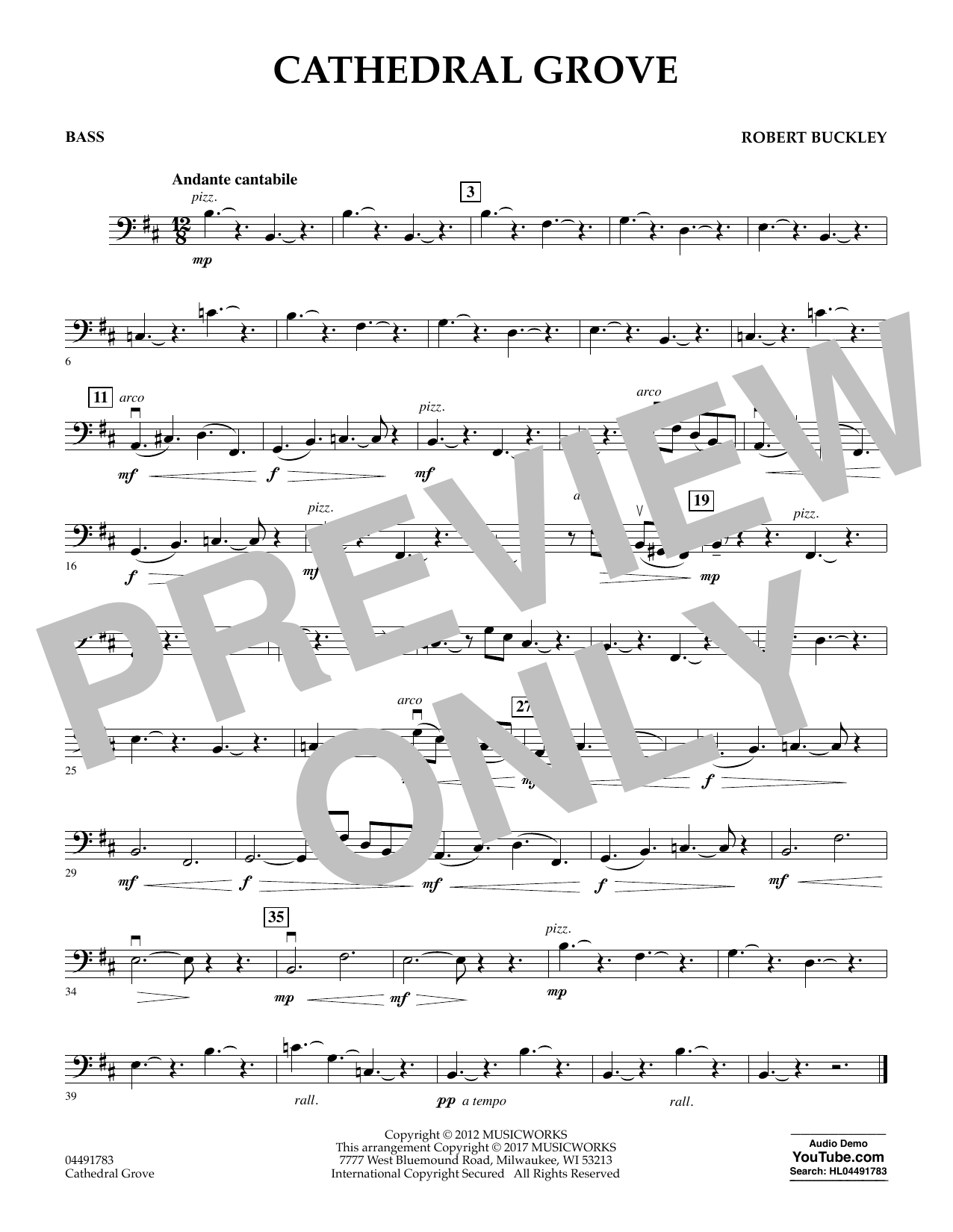 Robert Buckley Cathedral Grove - Bass Sheet Music Notes & Chords for Orchestra - Download or Print PDF