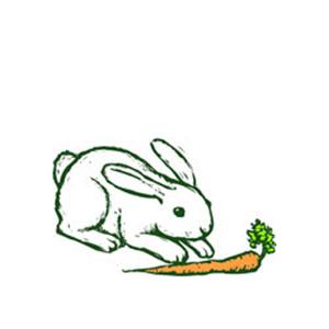 Traditional American Folksong, Oh, John The Rabbit (arr. Robert I. Hugh), SAB