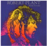 Download Robert Plant Hurting Kind (I've Got My Eyes On You) sheet music and printable PDF music notes