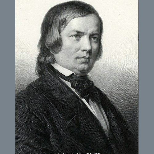 Robert Schumann, Canonic Study in B Major Op56, Organ