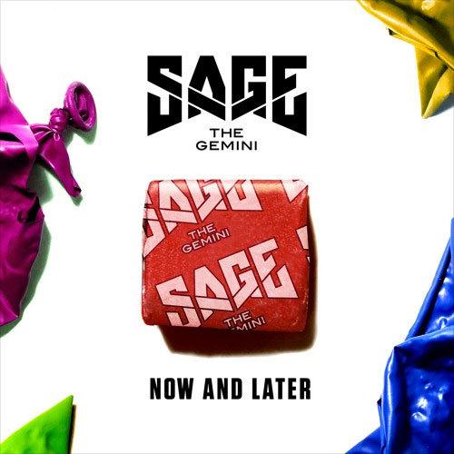 Sage the Gemini, Now And Later, Beginner Piano