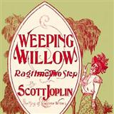 Download Scott Joplin Weeping Willow Rag sheet music and printable PDF music notes