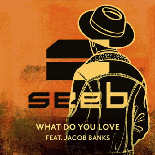 Seeb Seeb, What Do You Love (featuring Jacob Banks), Piano, Vocal & Guitar (Right-Hand Melody)