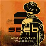 Download Seeb What Do You Love (featuring Jacob Banks) sheet music and printable PDF music notes
