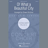 Download Shawn Kirchner O What A Beautiful City sheet music and printable PDF music notes