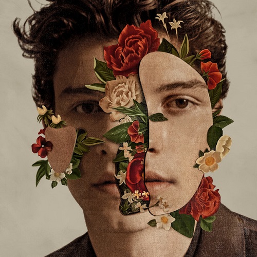 Shawn Mendes, In My Blood, Easy Guitar Tab