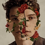 Download Shawn Mendes In My Blood sheet music and printable PDF music notes