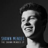 Download Shawn Mendes Life Of The Party sheet music and printable PDF music notes