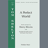 Download Sherry Blevins A Perfect World sheet music and printable PDF music notes