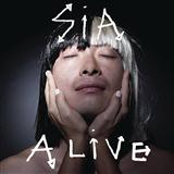 Download Sia Alive sheet music and printable PDF music notes
