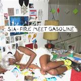 Download Sia Fire Meet Gasoline sheet music and printable PDF music notes