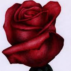 Traditional, O My Love Is Like A Red, Red Rose (arr. Simon Carrington), SATB