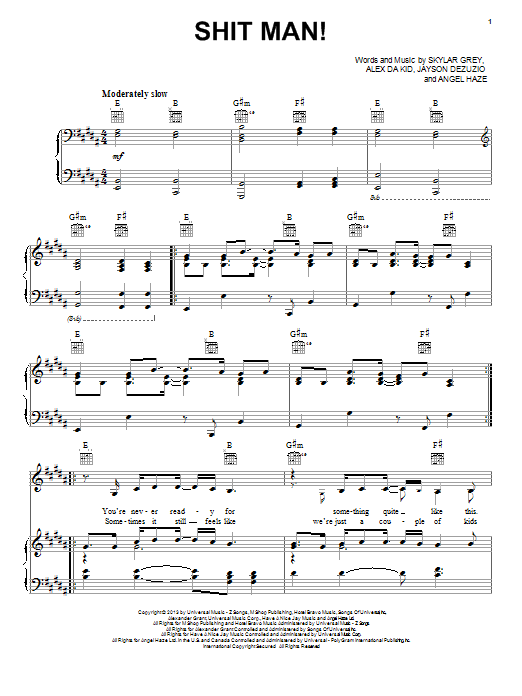 Skylar Grey Shit Man! Sheet Music Notes & Chords for Piano, Vocal & Guitar (Right-Hand Melody) - Download or Print PDF