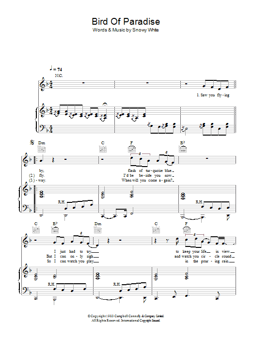 Snowy White Bird Of Paradise Sheet Music Notes & Chords for Guitar - Download or Print PDF