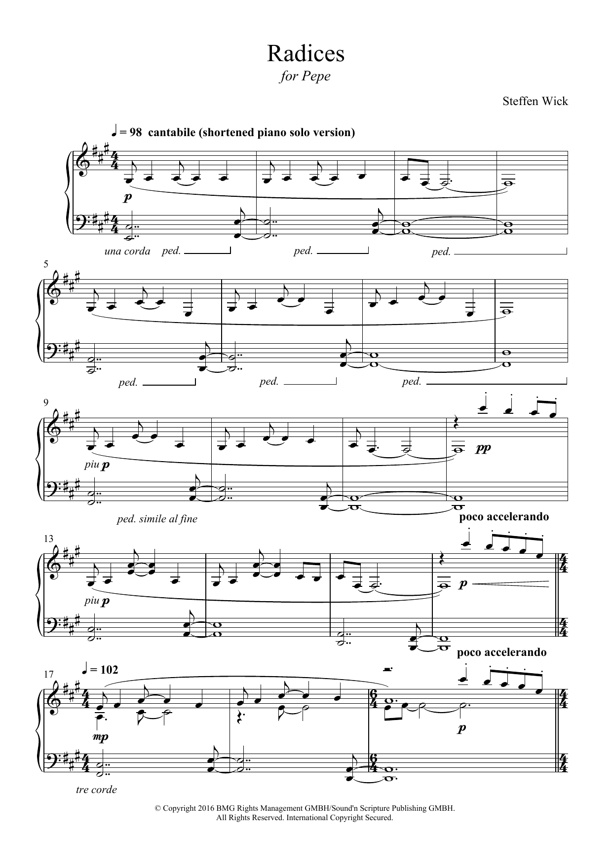 Steffen Wick Radices Sheet Music Notes & Chords for Piano - Download or Print PDF