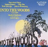 Download Stephen Sondheim Giants In The Sky (from Into The Woods) sheet music and printable PDF music notes