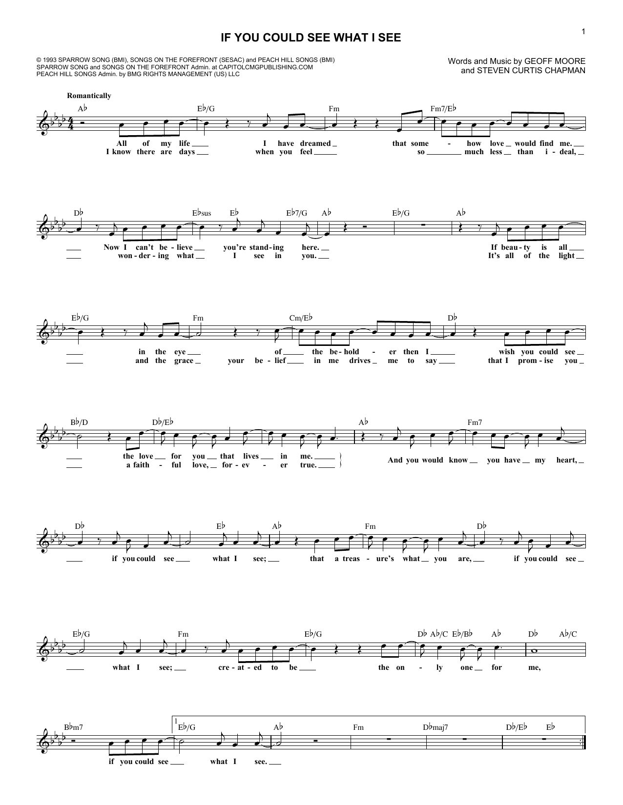 Steven Curtis Chapman If You Could See What I See Sheet Music Notes & Chords for Lead Sheet / Fake Book - Download or Print PDF