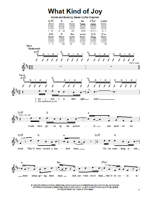 Steven Curtis Chapman What Kind Of Joy Sheet Music Notes & Chords for Lyrics & Chords - Download or Print PDF