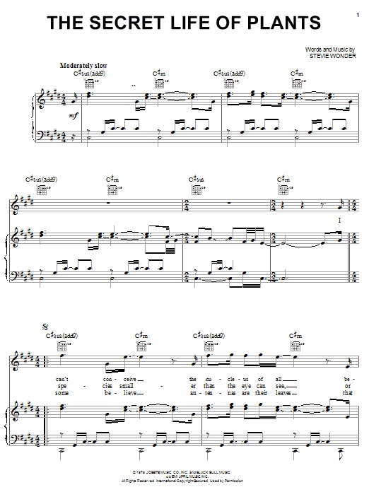 Stevie Wonder The Secret Life Of Plants Sheet Music Notes & Chords for Piano, Vocal & Guitar (Right-Hand Melody) - Download or Print PDF