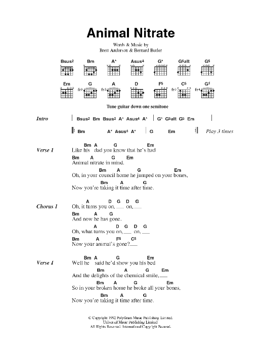 Suede Animal Nitrate Sheet Music Notes & Chords for Lyrics & Chords - Download or Print PDF