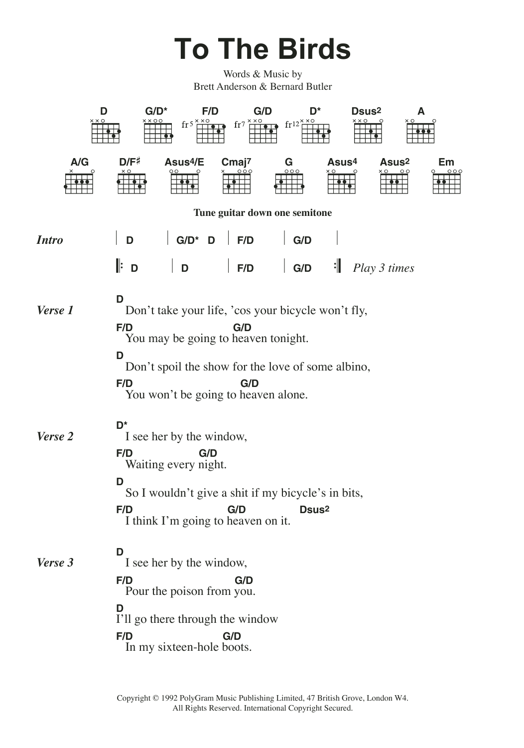 Suede To The Birds Sheet Music Notes & Chords for Lyrics & Chords - Download or Print PDF