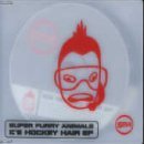 Download Super Furry Animals Ice Hockey Hair sheet music and printable PDF music notes