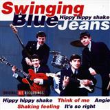 Download Swinging Blue Jeans Hippy Hippy Shake sheet music and printable PDF music notes