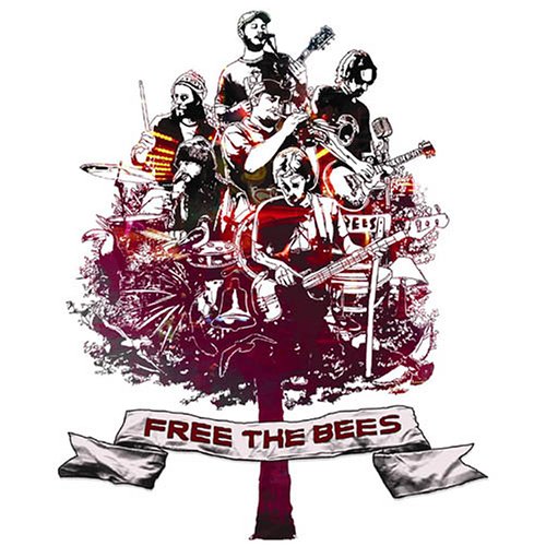 The Bees, Wash In The Rain, Lyrics & Chords