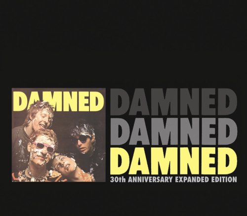 The Damned, New Rose, Lyrics & Chords