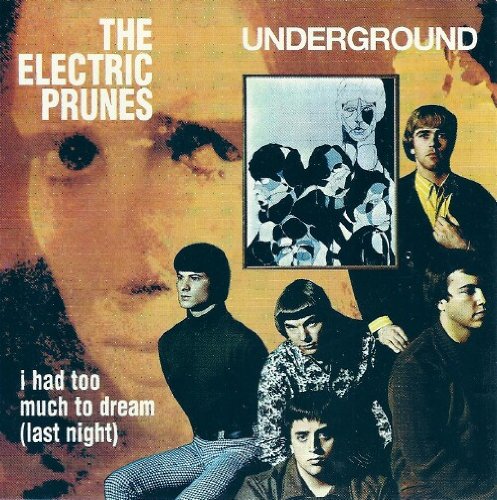 The Electric Prunes, I Had Too Much To Dream (Last Night), Ukulele