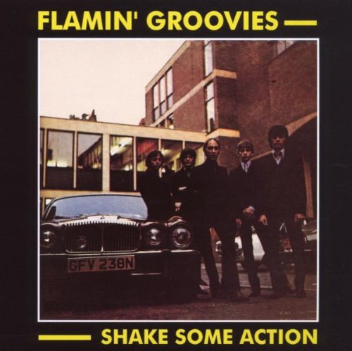 The Flamin' Groovies , Shake Some Action, Lyrics & Chords