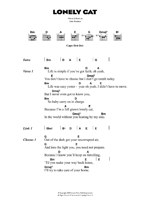 The Kooks Lonely Cat Sheet Music Notes & Chords for Lyrics & Chords - Download or Print PDF