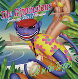 Download The Rippingtons Avenida Del Mar sheet music and printable PDF music notes