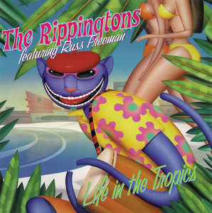 The Rippingtons, Caribbean Breeze, Solo Guitar