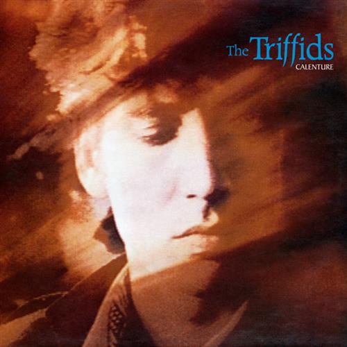 The Triffids, Bury Me Deep In Love, Piano, Vocal & Guitar (Right-Hand Melody)