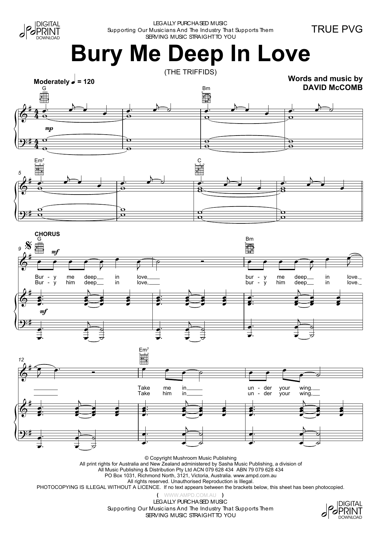 The Triffids Bury Me Deep In Love Sheet Music Notes & Chords for Piano, Vocal & Guitar (Right-Hand Melody) - Download or Print PDF