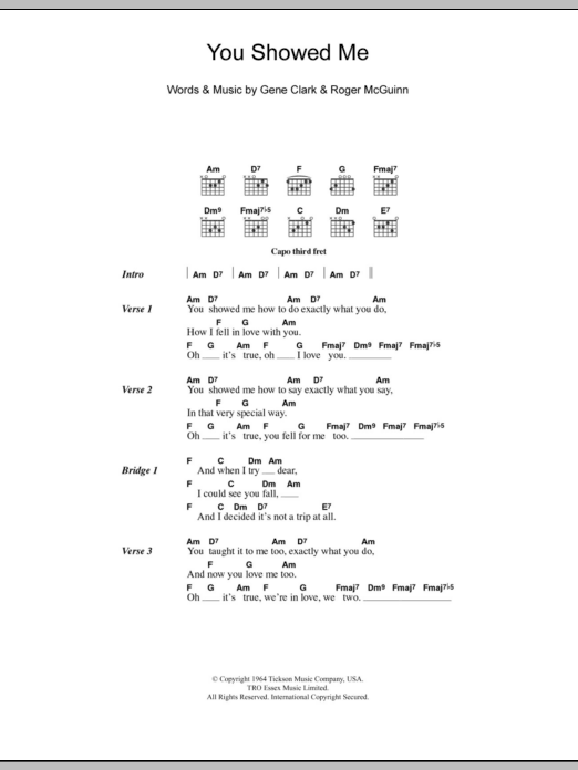 The Turtles You Showed Me Sheet Music Notes & Chords for Lyrics & Chords - Download or Print PDF