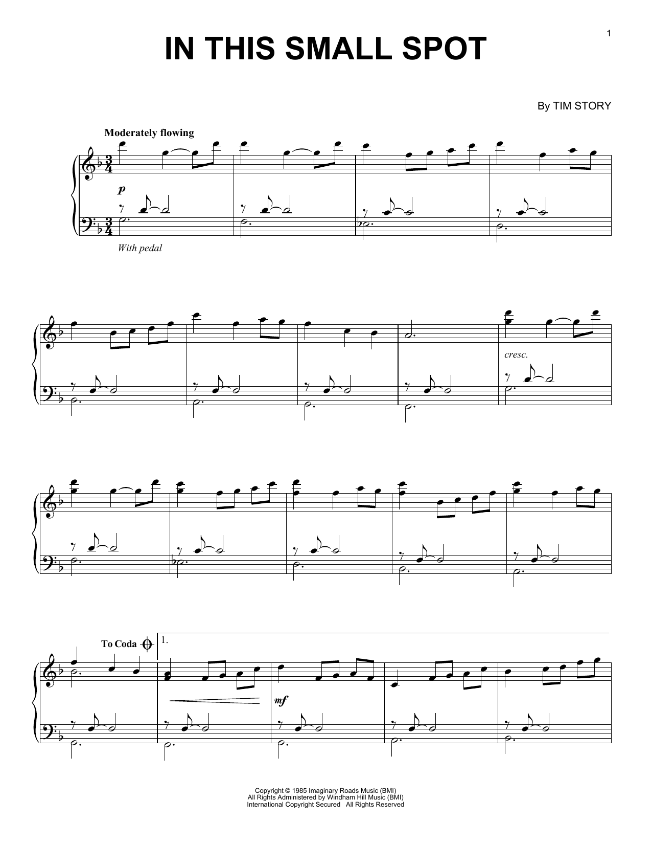 Tim Story In This Small Spot Sheet Music Notes & Chords for Piano Solo - Download or Print PDF