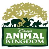 Download Tish Eastman Animal Kingdom - Tree Of Life Theme sheet music and printable PDF music notes