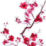 Download Japanese Folksong Sakura (Cherry Blossoms) sheet music and printable PDF music notes