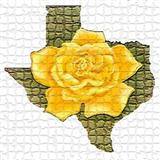 Download Traditional Folksong The Yellow Rose Of Texas sheet music and printable PDF music notes