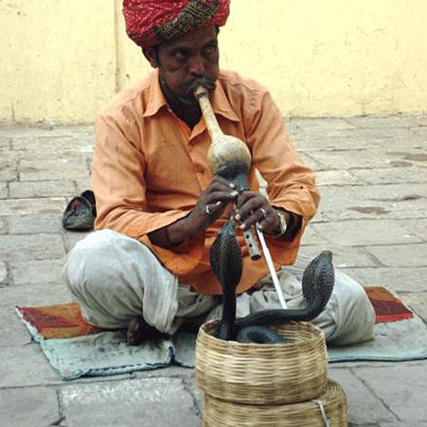 Traditional Indian, Snake Charmer, Guitar Ensemble