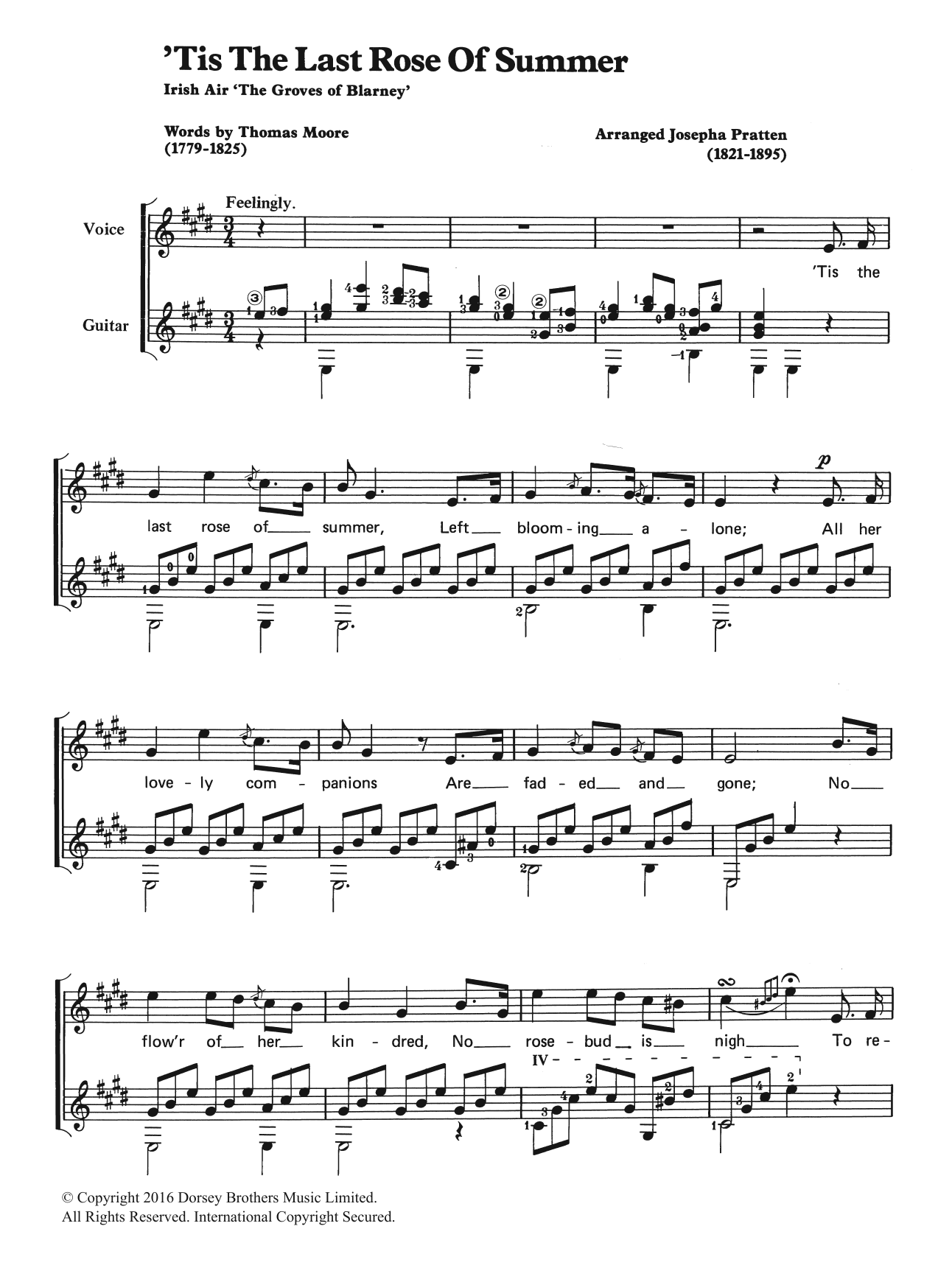 Traditional 'Tis The Last Rose Of Summer Sheet Music Notes & Chords for Easy Piano - Download or Print PDF