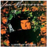 Download Van Morrison A Sense Of Wonder sheet music and printable PDF music notes