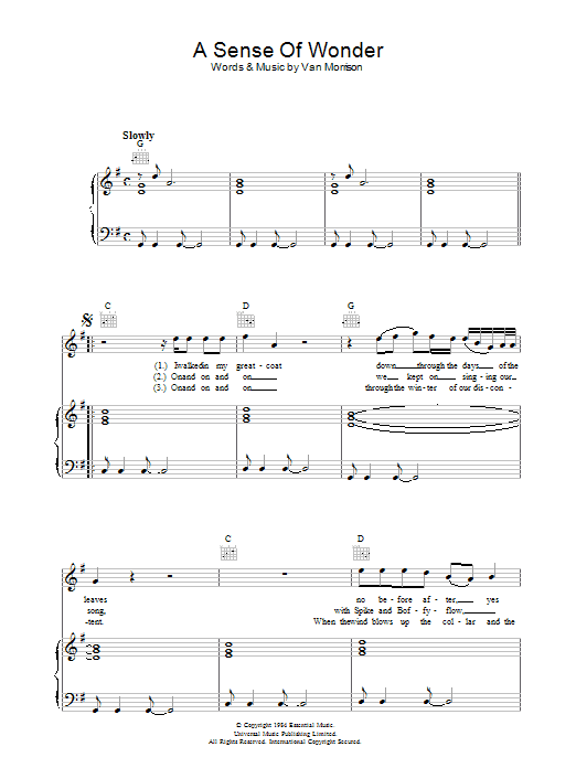 Van Morrison A Sense Of Wonder Sheet Music Notes & Chords for Piano, Vocal & Guitar - Download or Print PDF