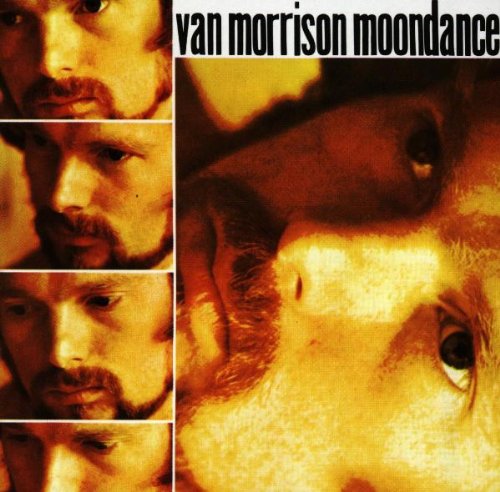 Van Morrison, Moondance, Melody Line, Lyrics & Chords